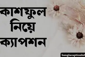 কাশফুল নিয়ে ক্যাপশন
