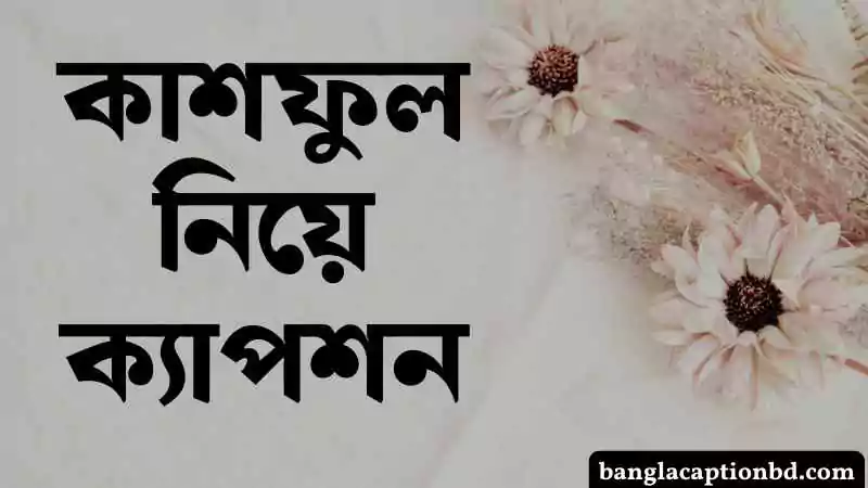 কাশফুল নিয়ে ক্যাপশন