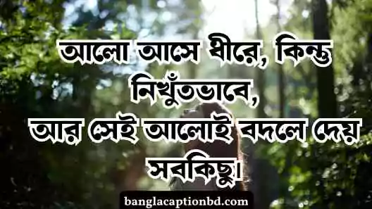 আলো নিয়ে ক্যাপশন