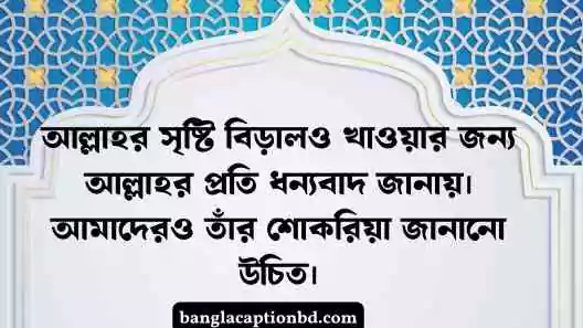 ইসলামিক ক্যাপশন