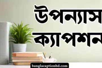 উপন্যাস ক্যাপশন