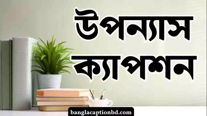 উপন্যাস ক্যাপশন