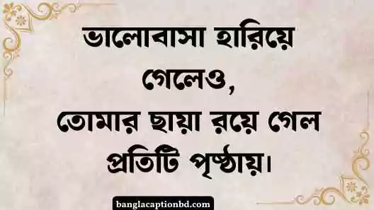উপন্যাস ক্যাপশন