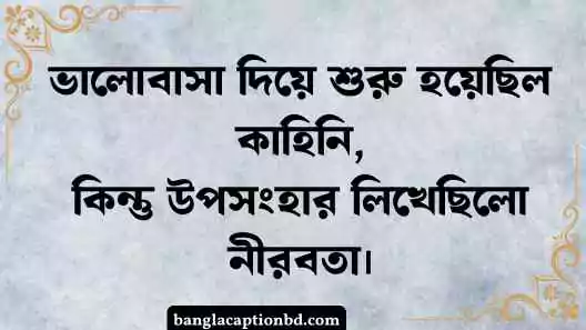উপন্যাস ক্যাপশন