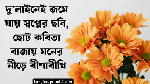 কবিতা ক্যাপশন