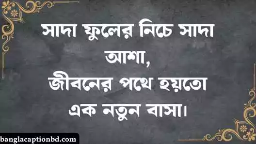 কাঠগোলাপ নিয়ে ক্যাপশন