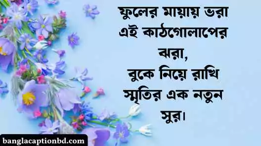 কাঠগোলাপ নিয়ে ক্যাপশন