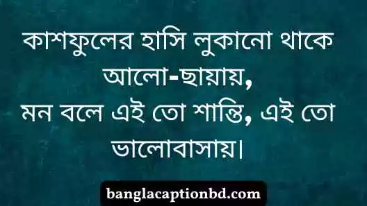  কাশফুল নিয়ে ক্যাপশন