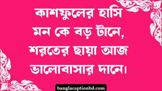কাশফুল নিয়ে ক্যাপশন