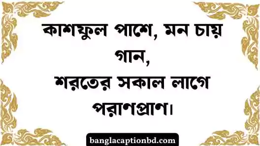 কাশফুল নিয়ে ক্যাপশন