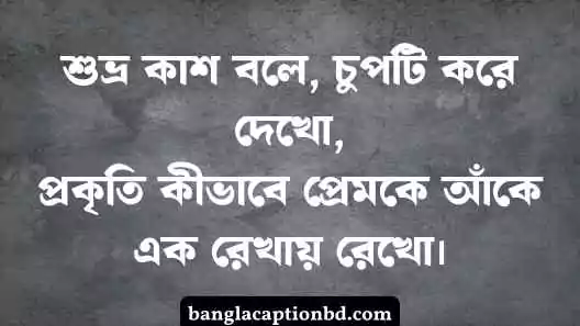 কাশফুল নিয়ে ক্যাপশন