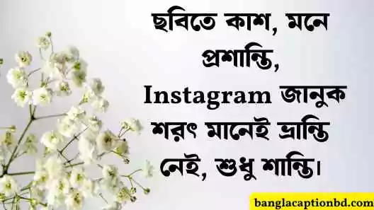 কাশফুল নিয়ে ক্যাপশন