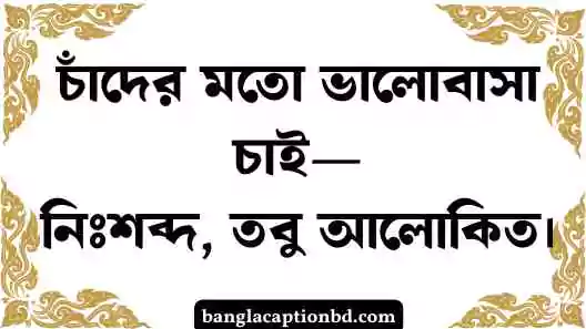 চাঁদ নিয়ে ক্যাপশন